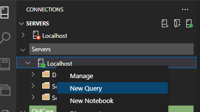 Menu de contexto do servidor no Azure Data Studio com a opção New Query destacada