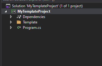 Projeto console reaberto no Visual Studio 2019 após a importação do template